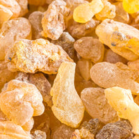 Image of Indian Frankincense