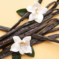 Image of Vanilla Beans and Flower